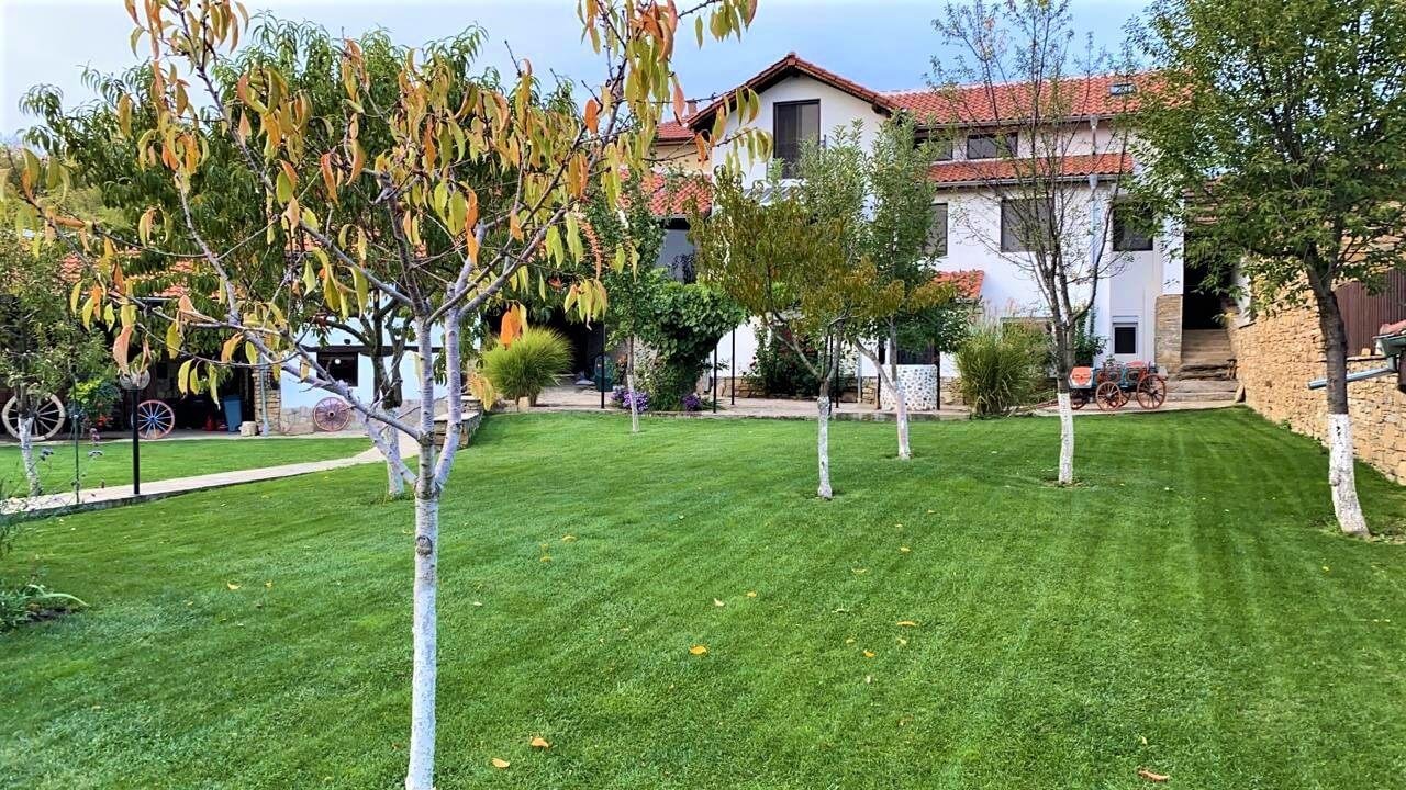 Снимки Галерия